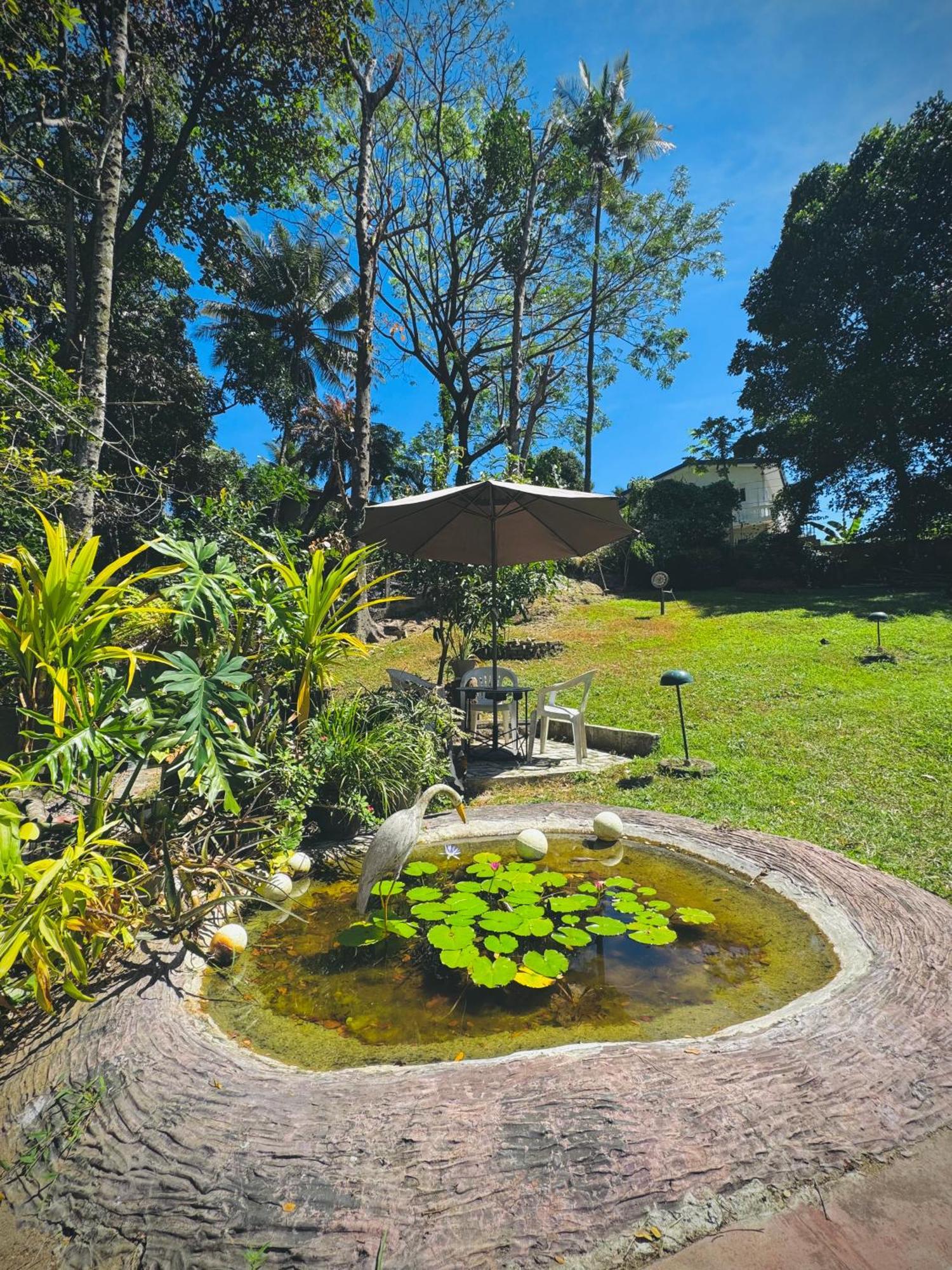 Mahaweli View Bungalow Канди Экстерьер фото